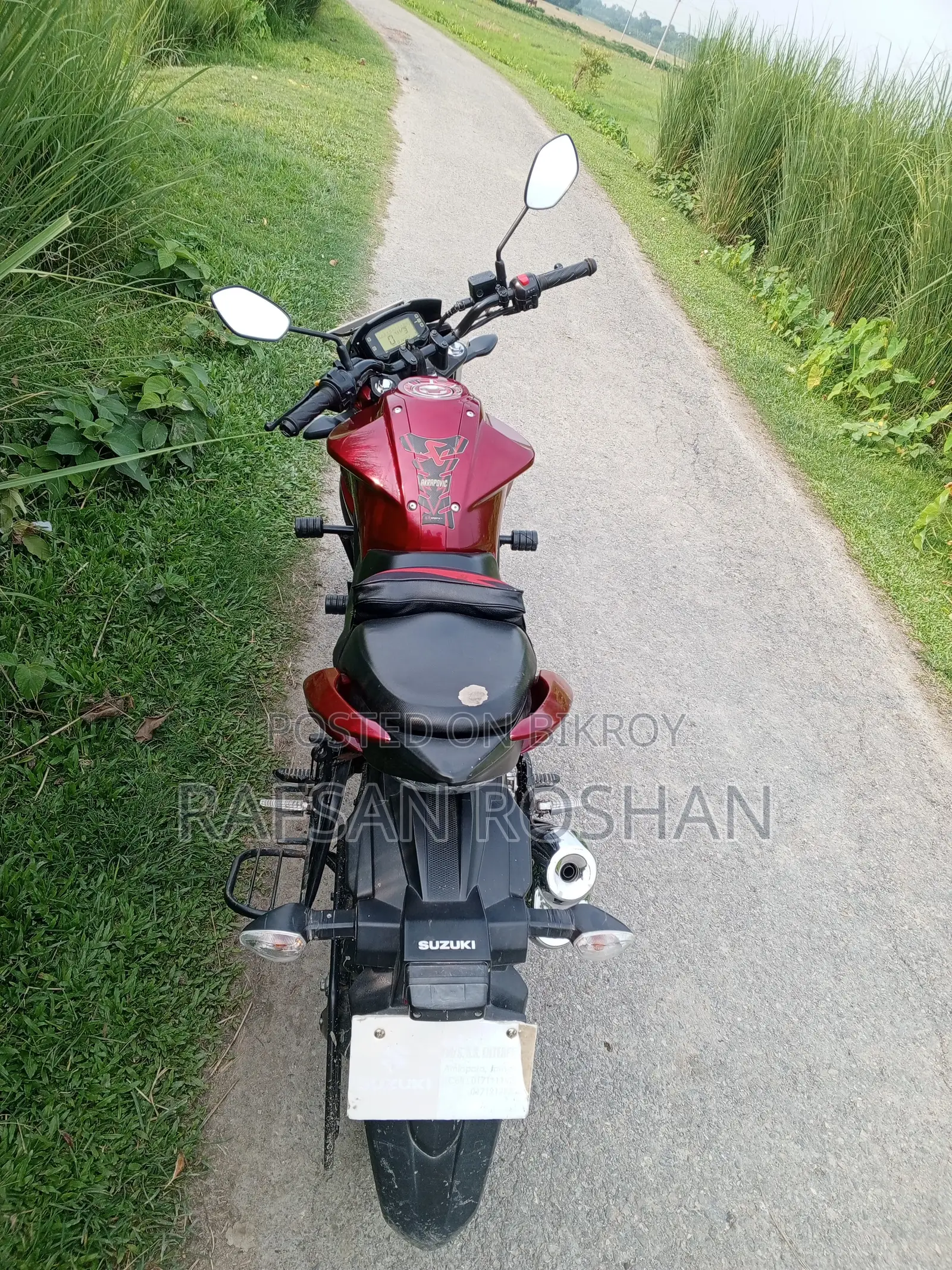 Red Suzuki 2024