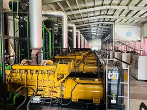 Cat Diesel Generators