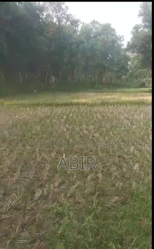 The Land Urgently Needs to be Sold!!!