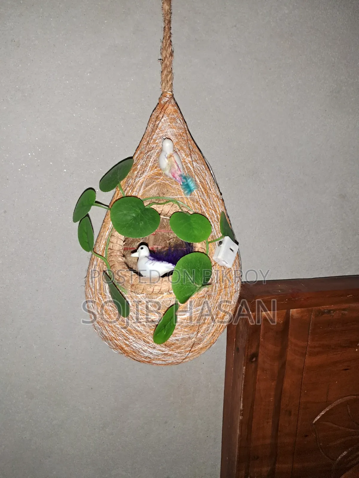 Light-wala Baya Weaver Bird Nest