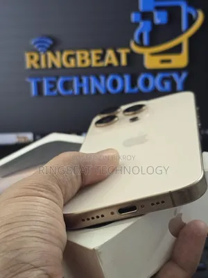 অ্যাপল আইফোন ১৬ প্রো ২৫৬ জিবি