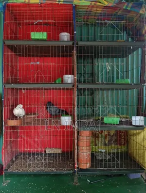 4 Door Cage