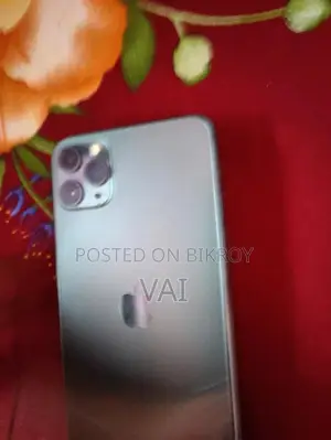 অ্যাপল আইফোন ১১ প্রো ম্যাক্স ২৫৬ জিবি গ্রিন