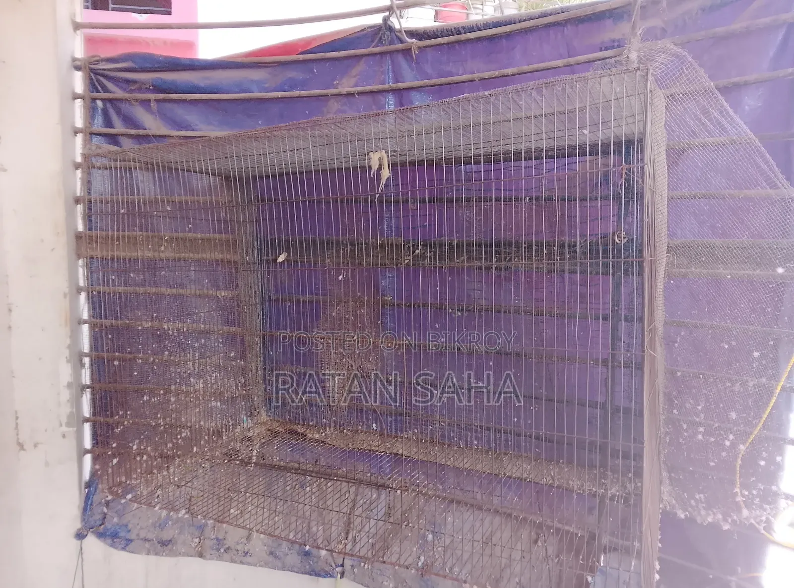 Birds Cage