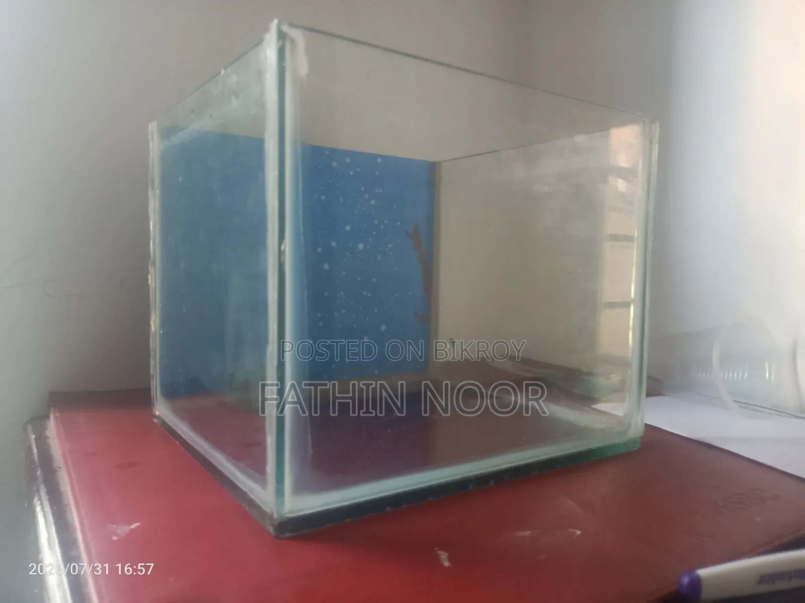 গ্লাস অ্যাকোয়ারিয়াম