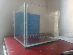 গ্লাস অ্যাকোয়ারিয়াম