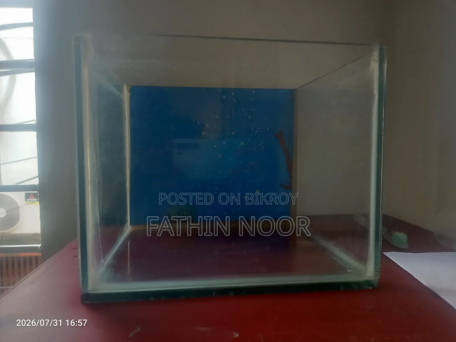 গ্লাস অ্যাকোয়ারিয়াম