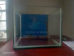 গ্লাস অ্যাকোয়ারিয়াম