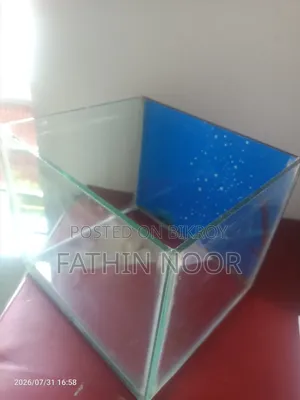 গ্লাস অ্যাকোয়ারিয়াম