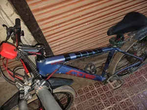 কোর নিও ৬০০ বি ফুল ফ্রেশ আর্জেন্ট সেল