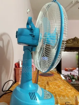 চারজার পাখা