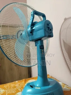 চারজার পাখা