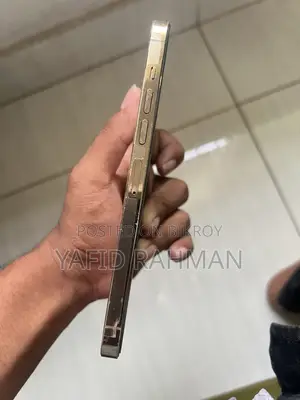 Apple iPhone 13 Pro Max 256 GB Gold