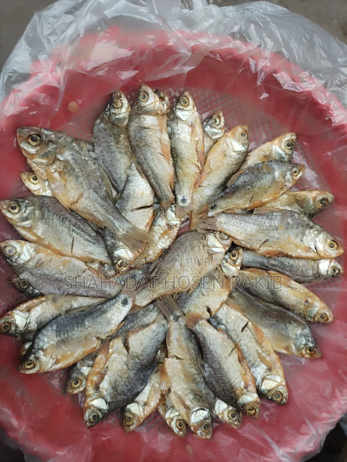 চ্যাপা শুটকি