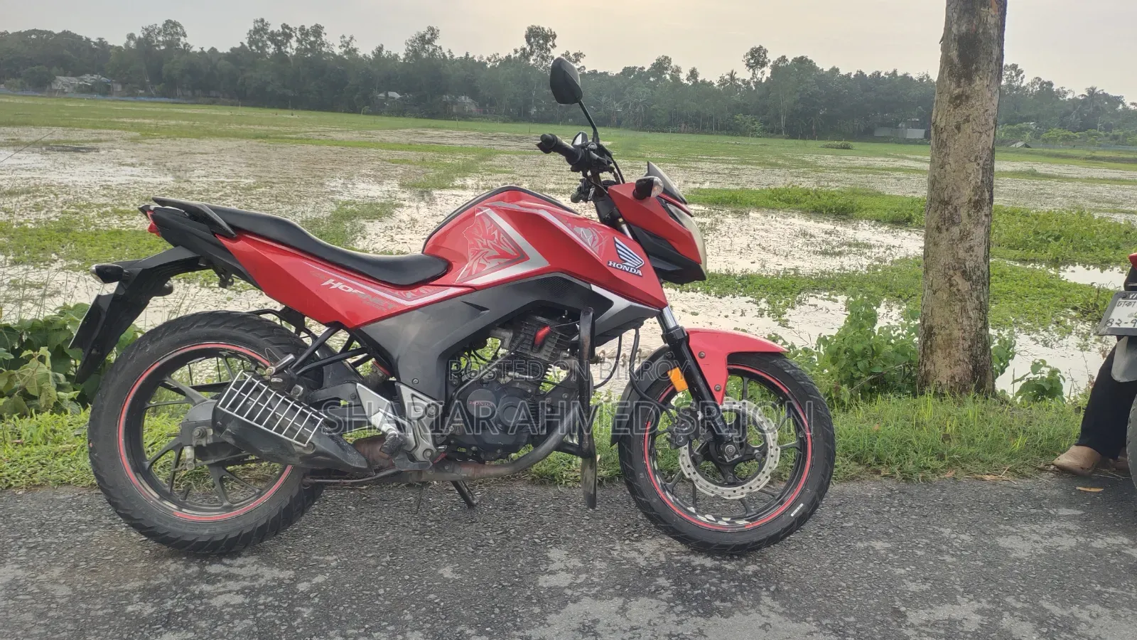 Honda Hornet 2018 Red