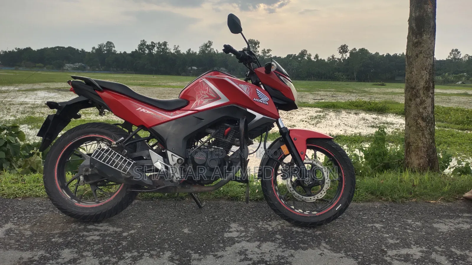 Honda Hornet 2018 Red
