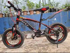Kids Bicycle