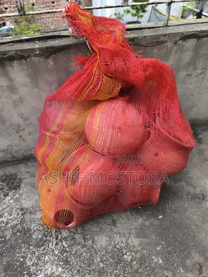 লাভবার্ড ,জাভা, বাজরিগার পাখির মাটির হাড়ি (ঢাকনা সহ)