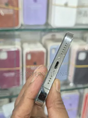 অ্যাপল আইফোন ১২ প্রো ম্যাক্স ২৫৬ জিবি ব্লু