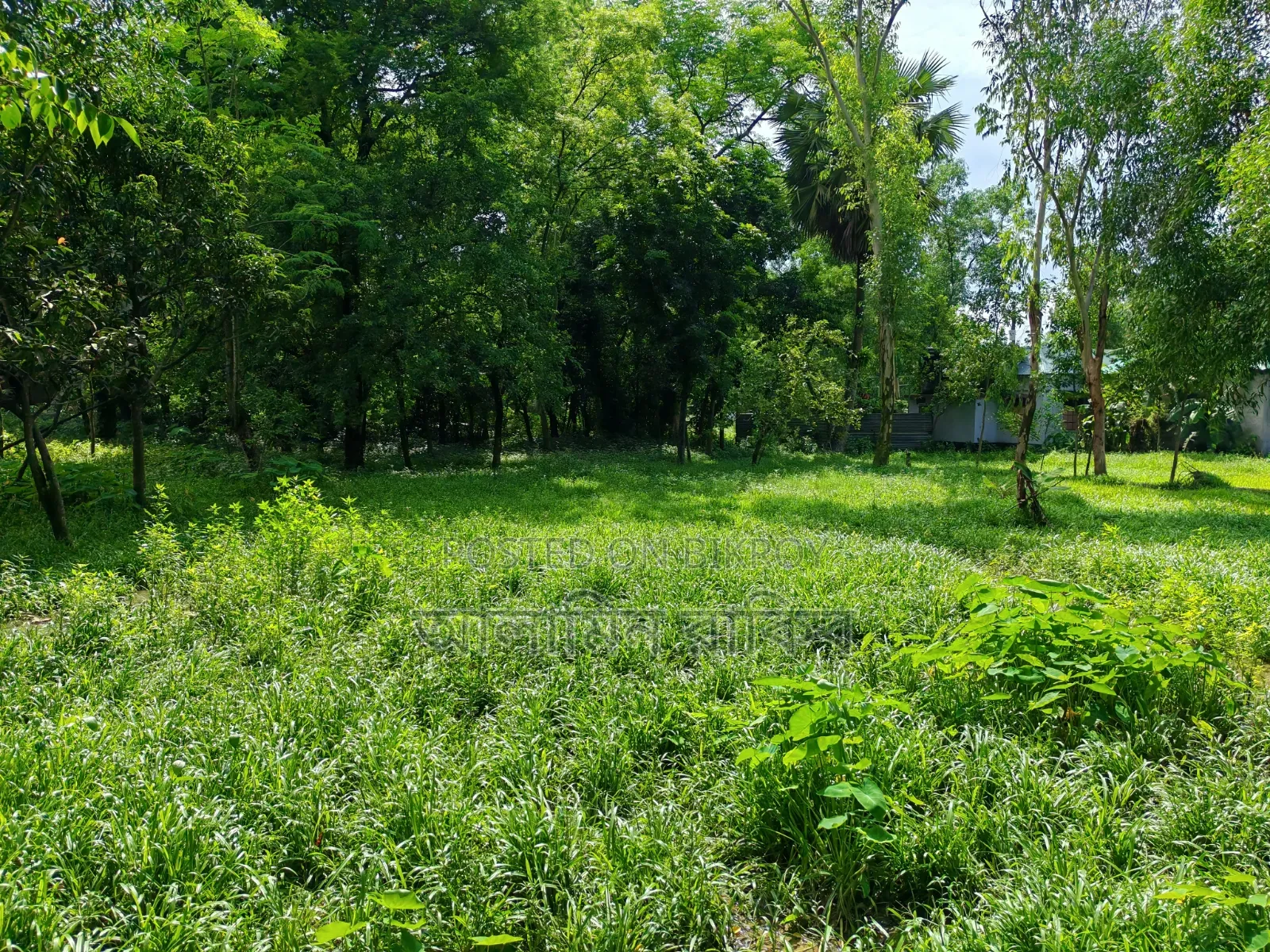 জমি বিক্রি