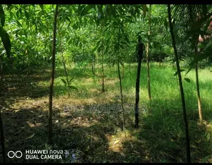Plots Sarikait, Sandwip, Chattogram