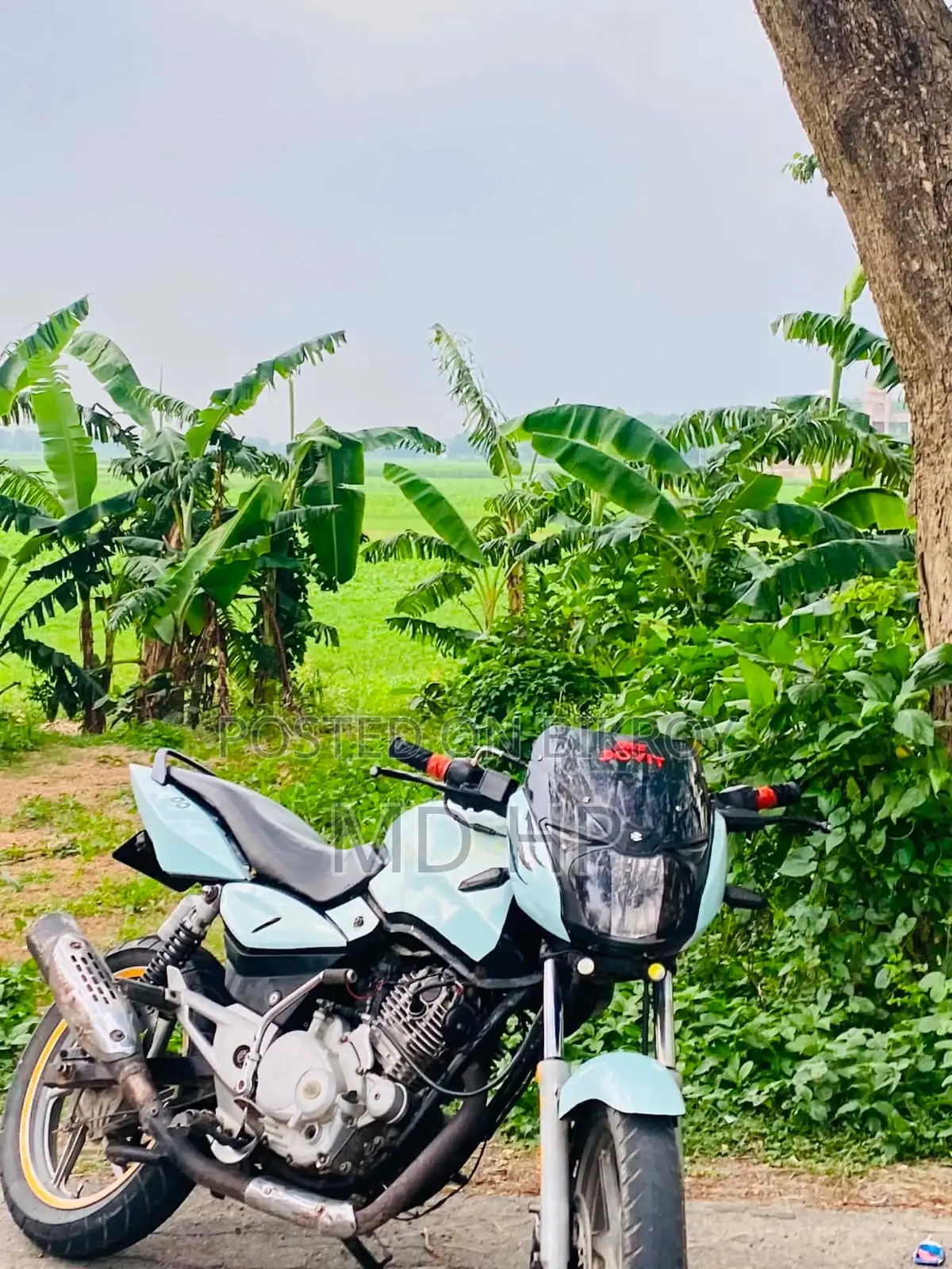 Bajaj Pulsar 150 2010