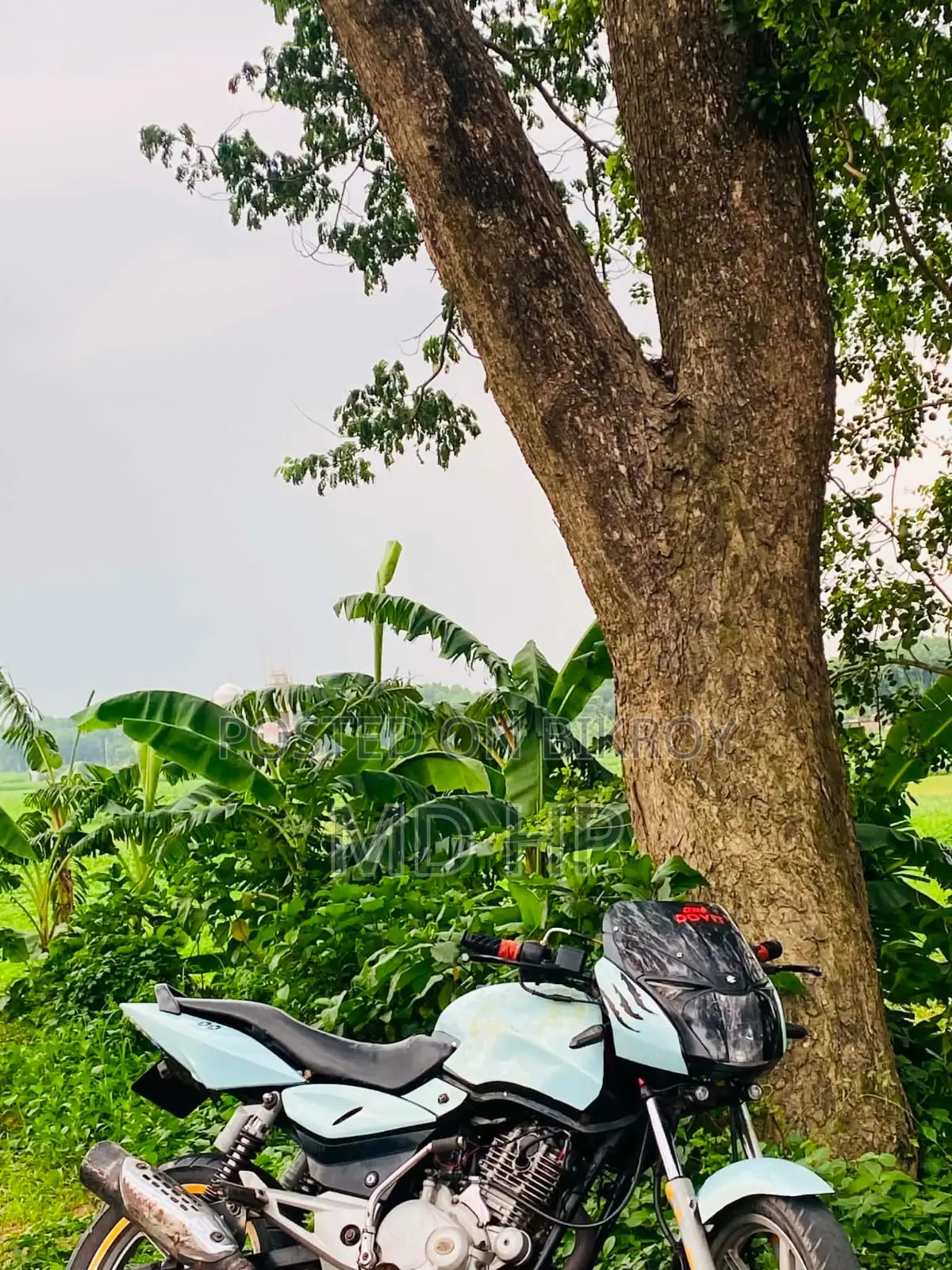 Bajaj Pulsar 150 2010
