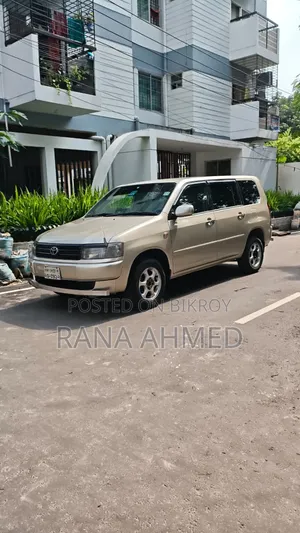 Toyota Probox 2004 Beige