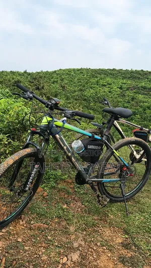 কোর জিও ৩০০