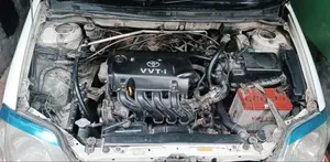 Toyota Corolla 2004 White