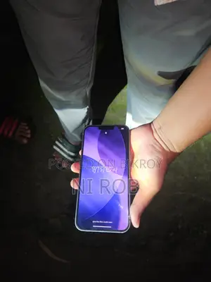 অ্যাপল আইফোন ১৪ প্লাস ১২৮ জিবি নীল