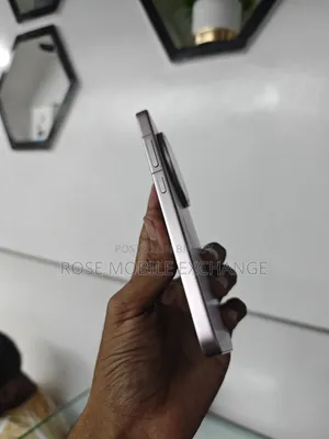 Vivo X200 Pro Mini 256 GB