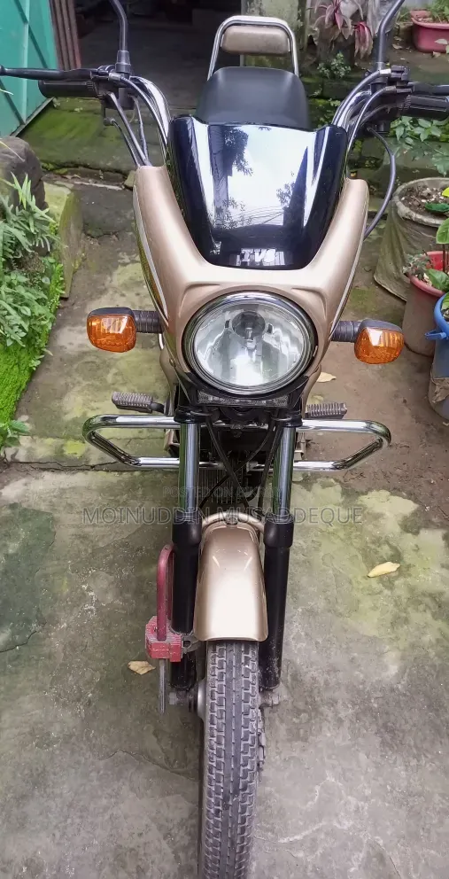 TVS XL 100 Comfort 2022 Gold