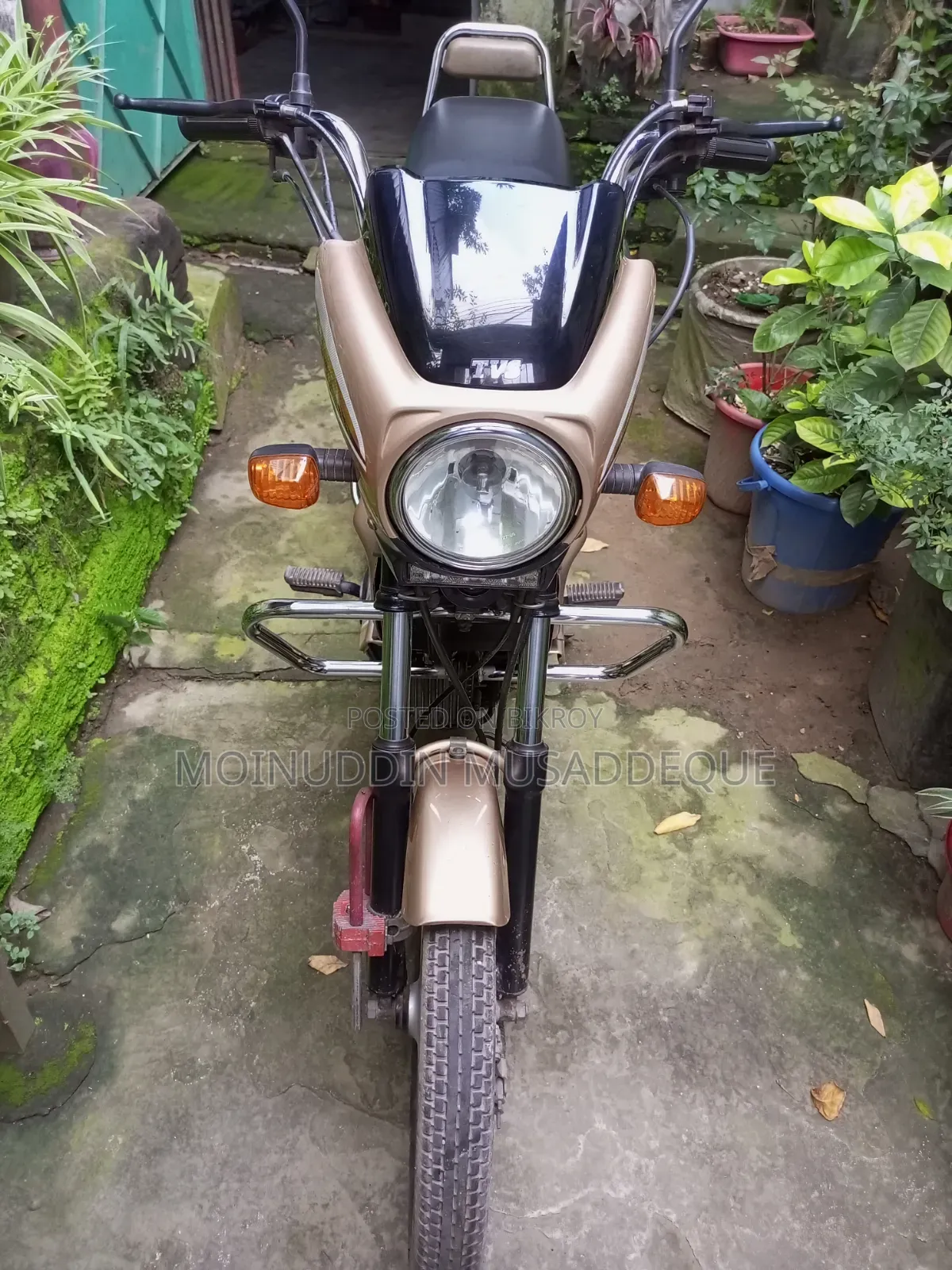 TVS XL 100 Comfort 2022 Gold