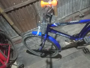Prince Cycle