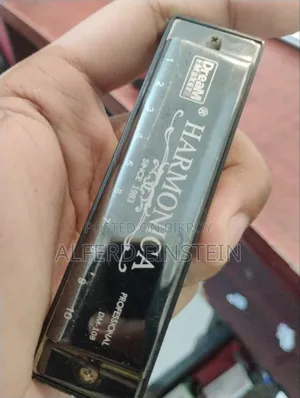 Dream Maker DM-10B Professional Harmonic