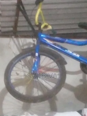সাইকেল চাইল্ড
