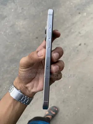 Apple iPhone 16 Pro Max 256 GB Gray