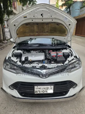 Toyota Axio 2016 Pearl