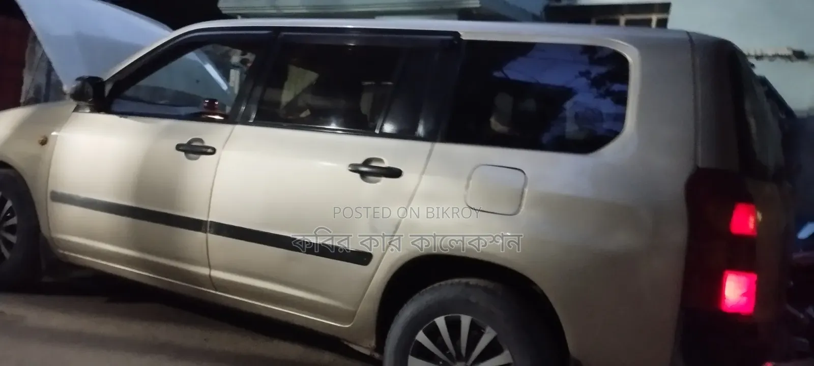 Toyota Succeed 2004 Beige