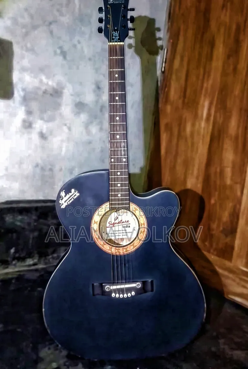 Signature 265 Guitar