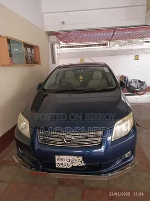 Toyota Axio 2009 Blue