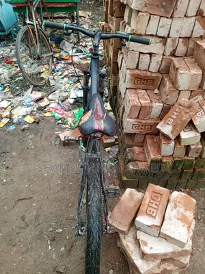 Bicycle for Sale