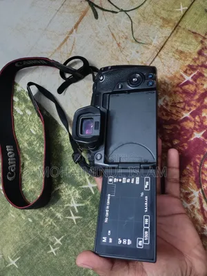 Canon EOS R Mirrorless Camera