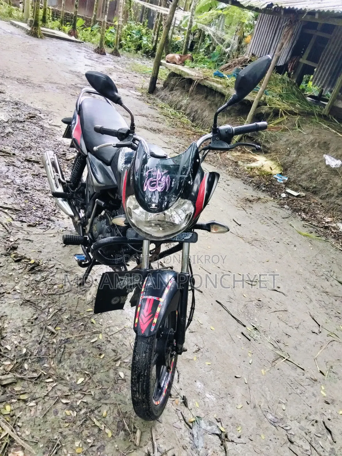 Bajaj Discover 110 2019 Black