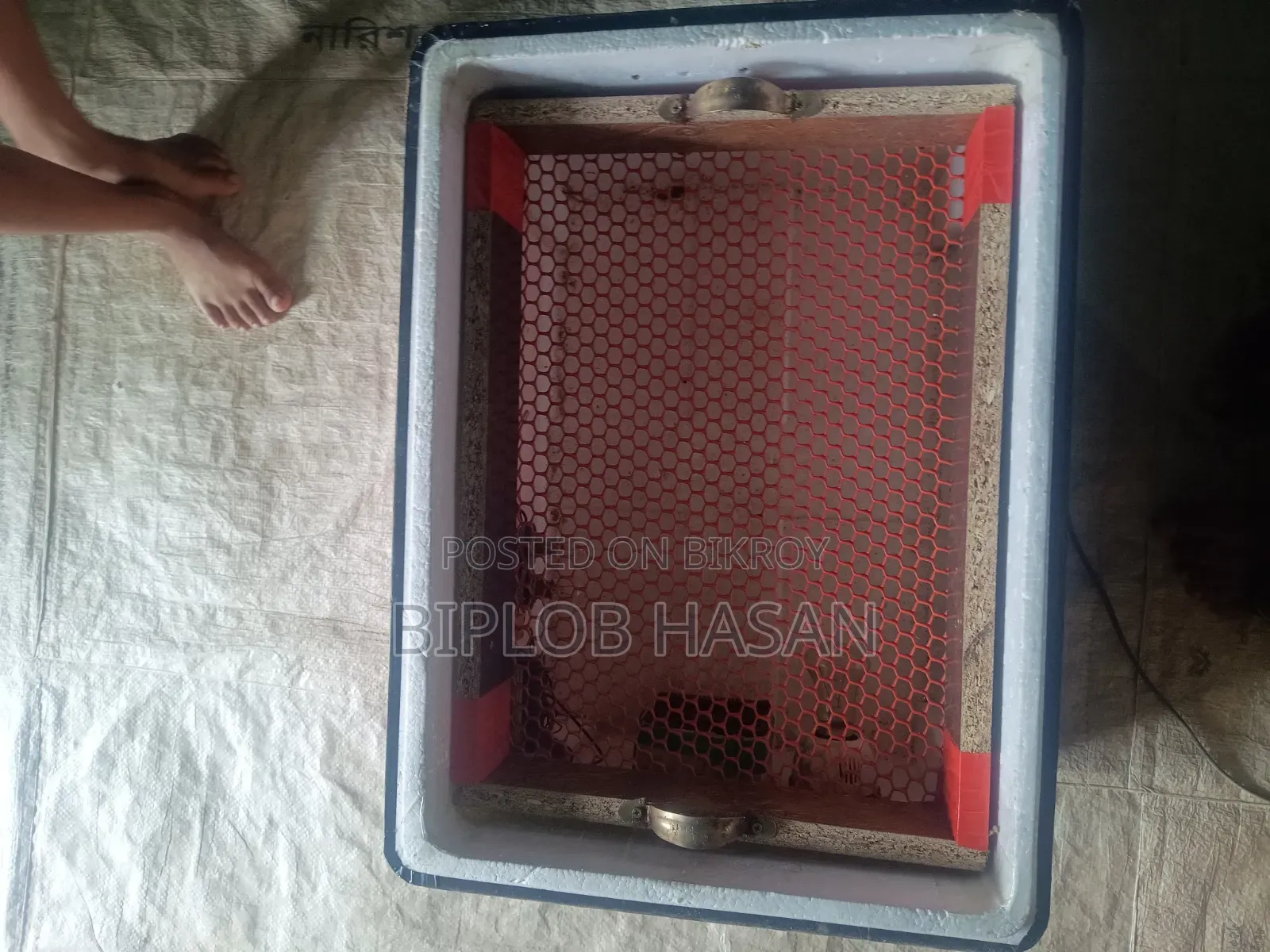 ইনকিউবেটর কেউ কিনলে ইনবক্স