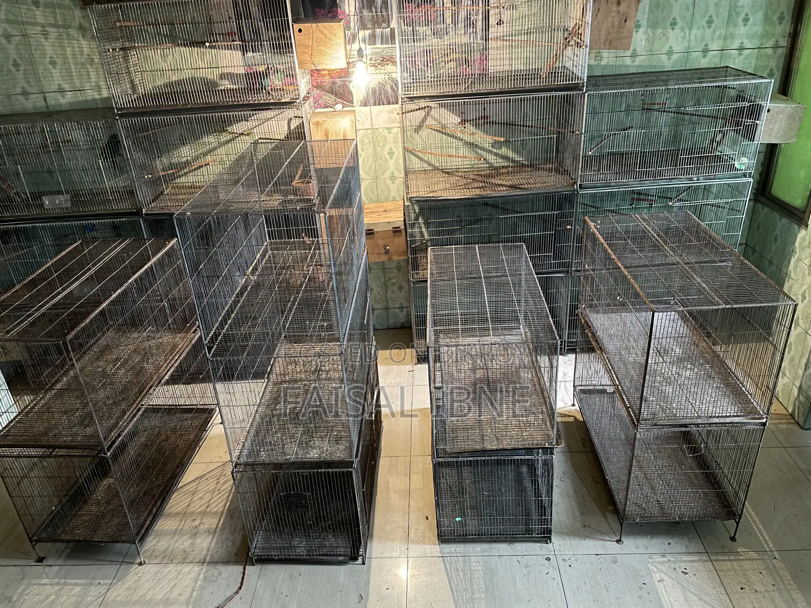Bird Cage 18/36