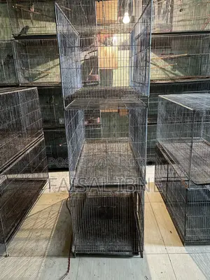 Bird Cage 18/36