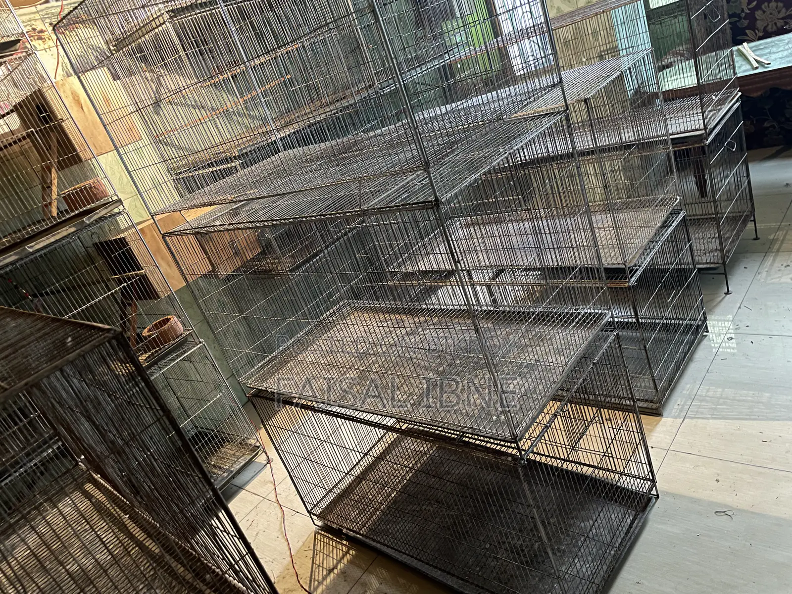 Bird Cage 18/36