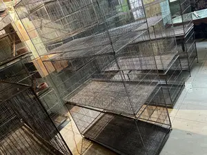 Bird Cage 18/36